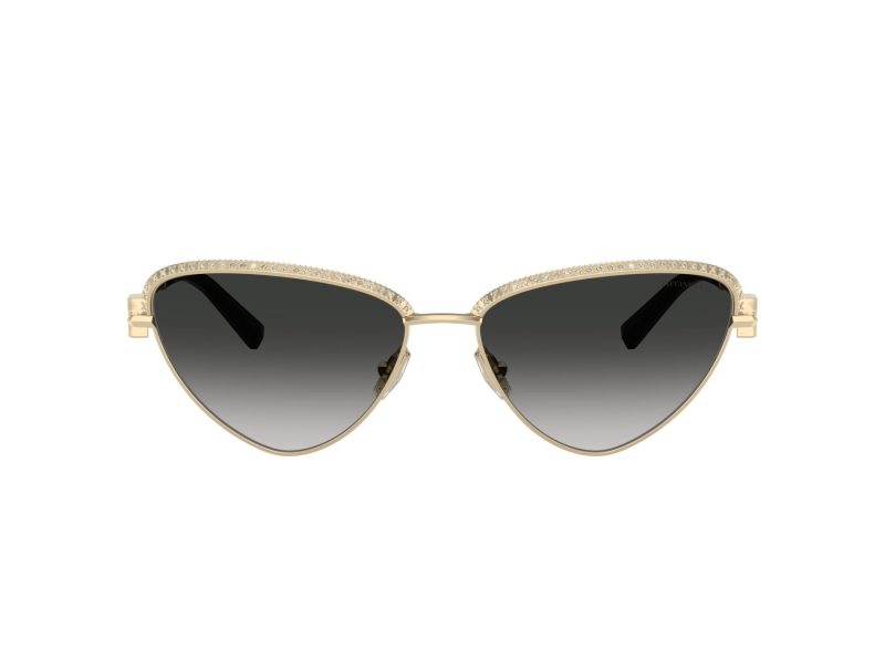 Tiffany Lunettes de Soleil TF 3107KB 62203C