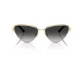 Tiffany Lunettes de Soleil TF 3107KB 62203C