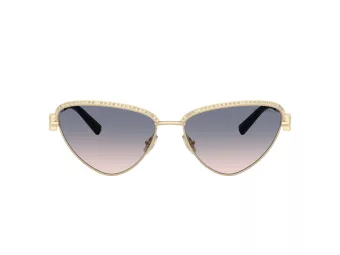 Tiffany Lunettes de Soleil TF 3107KB 622116
