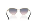 Tiffany Lunettes de Soleil TF 3107KB 622116