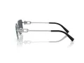 Tiffany Lunettes de Soleil TF 3111 60011U
