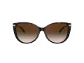 Tiffany Lunettes de Soleil TF 4178 80153B