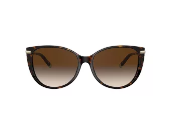 Tiffany Lunettes de Soleil TF 4178 80153B