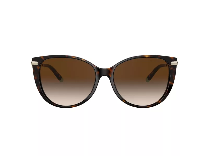 Tiffany Lunettes de Soleil TF 4178 80153B