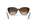 Tiffany Lunettes de Soleil TF 4178 80153B