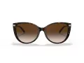 Tiffany Lunettes de Soleil TF 4178 80153B