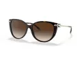 Tiffany Lunettes de Soleil TF 4178 80153B
