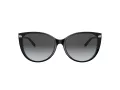 Tiffany Lunettes de Soleil TF 4178 8055T3