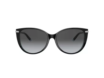 Tiffany Lunettes de Soleil TF 4178 8055T3