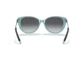 Tiffany Lunettes de Soleil TF 4178 8055T3