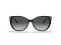 Tiffany Lunettes de Soleil TF 4178 8055T3