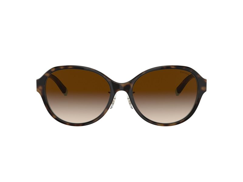 Tiffany Lunettes de Soleil TF 4181D 81343B