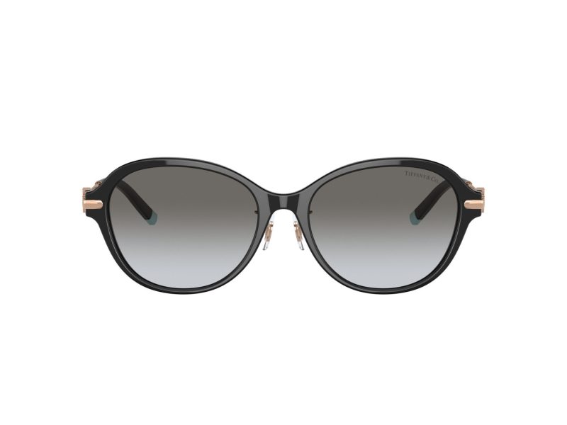 Tiffany Lunettes de Soleil TF 4188D 80013C