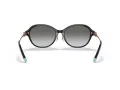 Tiffany Lunettes de Soleil TF 4188D 80013C