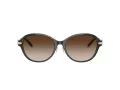 Tiffany Lunettes de Soleil TF 4188D 81343B