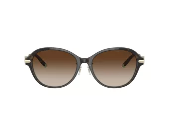 Tiffany Lunettes de Soleil TF 4188D 81343B