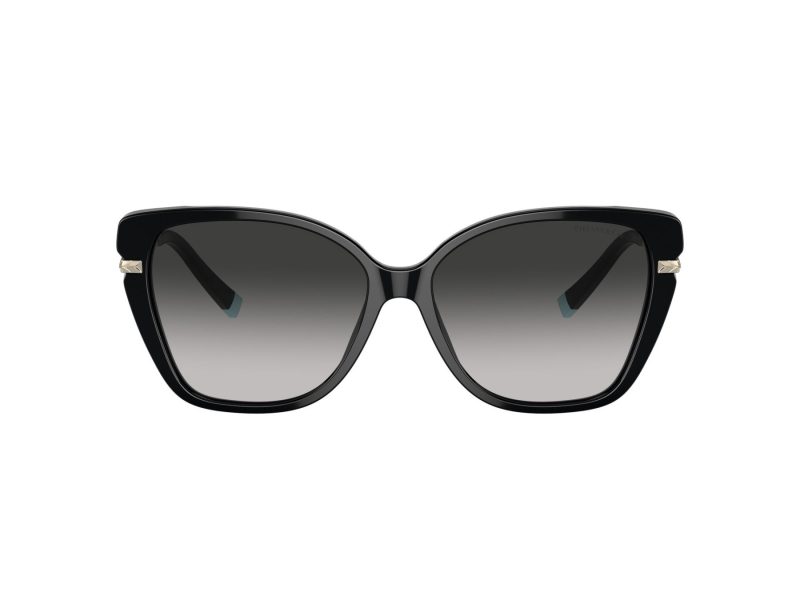 Tiffany Lunettes de Soleil TF 4190 80013C