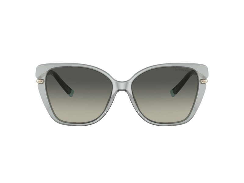 Tiffany Lunettes de Soleil TF 4190 834611