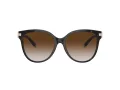 Tiffany Lunettes de Soleil TF 4193B 81343B
