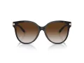 Tiffany Lunettes de Soleil TF 4193B 81343B