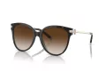 Tiffany Lunettes de Soleil TF 4193B 81343B