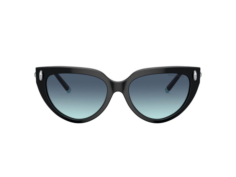 Tiffany Lunettes de Soleil TF 4195 80019S