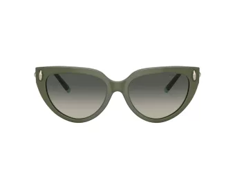 Tiffany Lunettes de Soleil TF 4195 835811