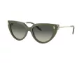 Tiffany Lunettes de Soleil TF 4195 835811