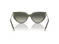Tiffany Lunettes de Soleil TF 4195 835811