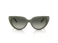 Tiffany Lunettes de Soleil TF 4195 835811