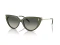 Tiffany Lunettes de Soleil TF 4195 835811
