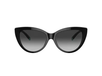 Tiffany Lunettes de Soleil TF 4196 80013C
