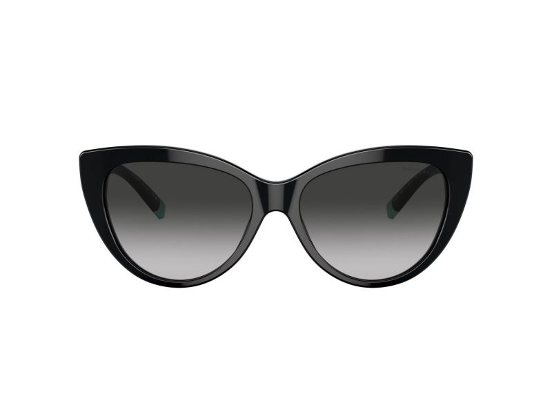 Tiffany Lunettes de Soleil TF 4196 80013C