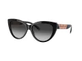 Tiffany Lunettes de Soleil TF 4196 80013C