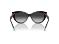 Tiffany Lunettes de Soleil TF 4196 80013C