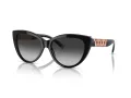 Tiffany Lunettes de Soleil TF 4196 80013C