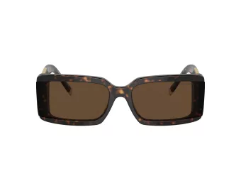 Tiffany Lunettes de Soleil TF 4197 80153G