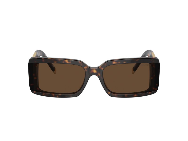 Tiffany Lunettes de Soleil TF 4197 80153G