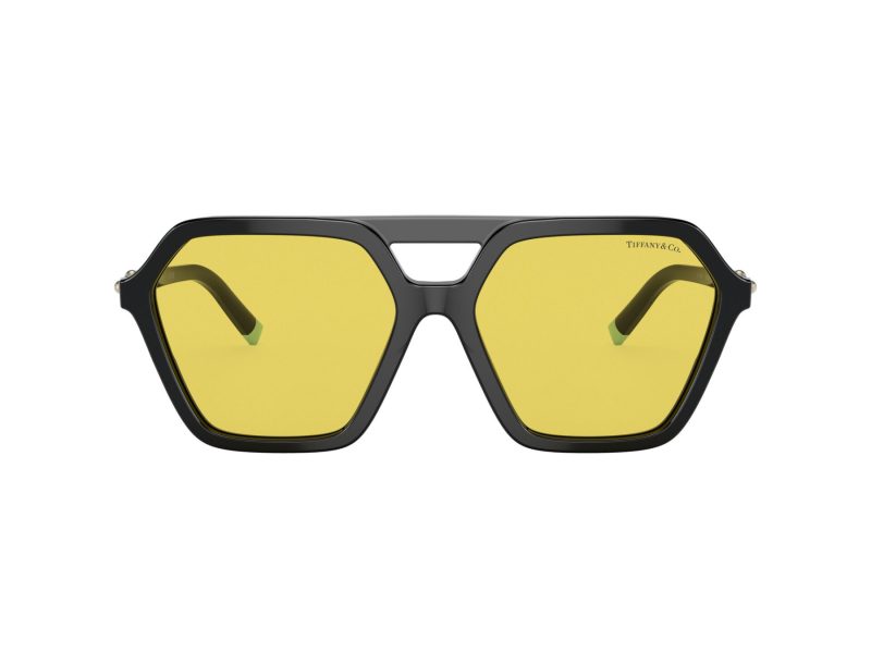 Tiffany Lunettes de Soleil TF 4198 800185