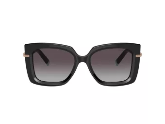 Tiffany Lunettes de Soleil TF 4199 80013C