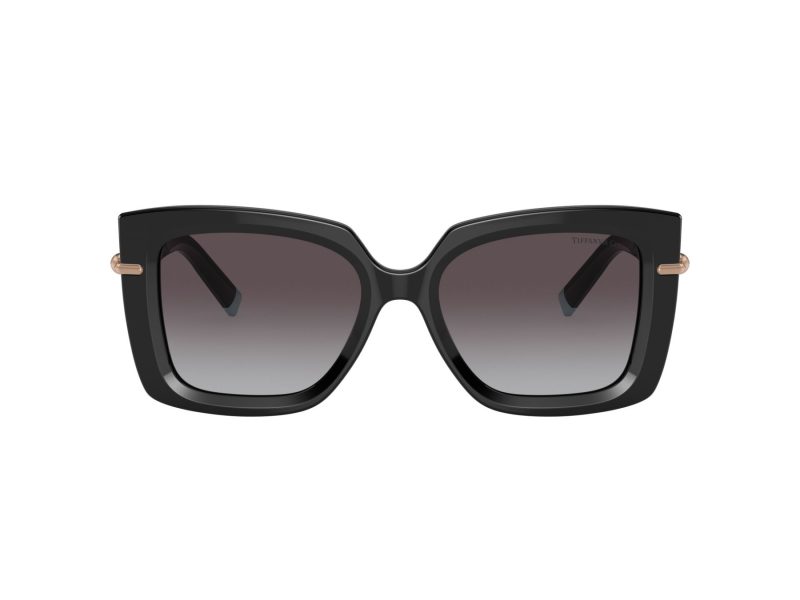 Tiffany Lunettes de Soleil TF 4199 80013C