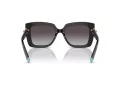 Tiffany Lunettes de Soleil TF 4199 80013C