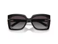 Tiffany Lunettes de Soleil TF 4199 80013C