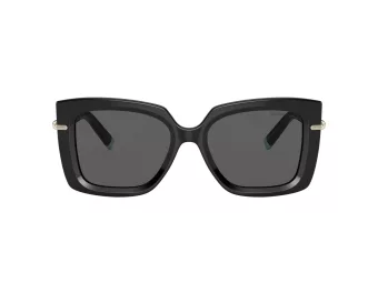 Tiffany Lunettes de Soleil TF 4199 8001S4