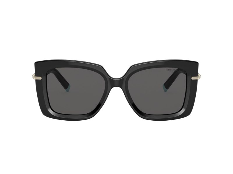 Tiffany Lunettes de Soleil TF 4199 8001S4