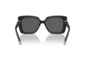 Tiffany Lunettes de Soleil TF 4199 8001S4