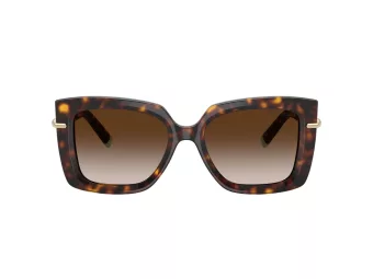 Tiffany Lunettes de Soleil TF 4199 80153B