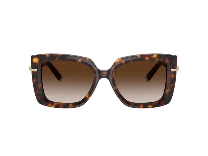 Tiffany Lunettes de Soleil TF 4199 80153B