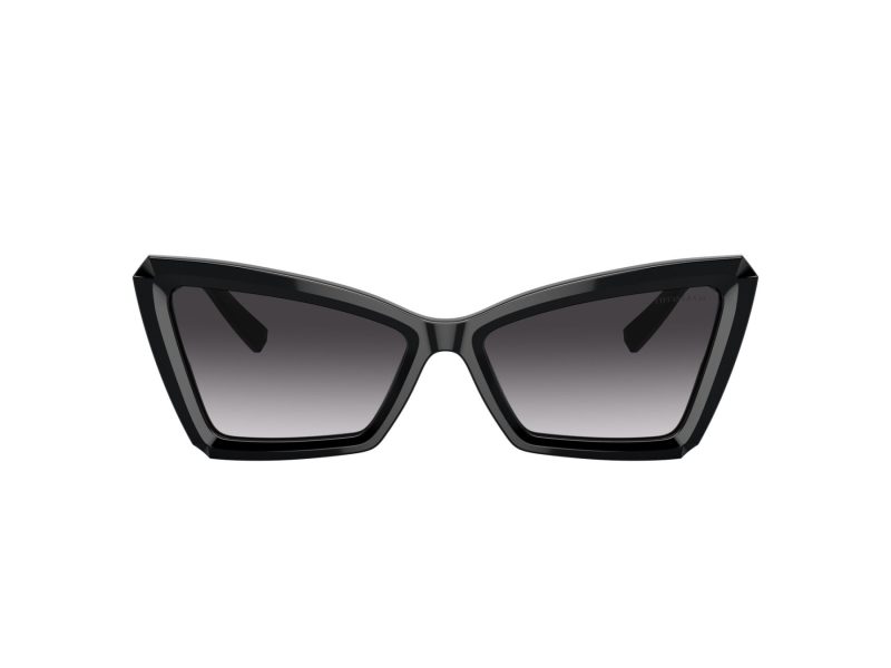 Tiffany Lunettes de Soleil TF 4203 80013C