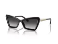 Tiffany Lunettes de Soleil TF 4203 80013C